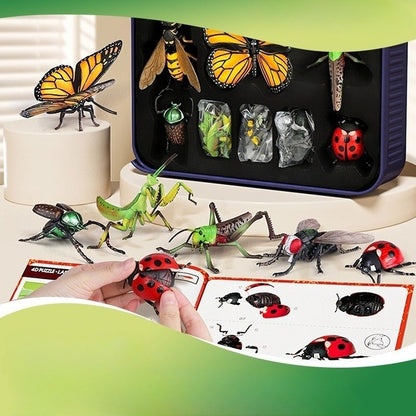 Kit de coleta de insetos e animais para crianças – brinquedo educativo de exploração da natureza